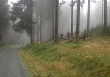Mountainbike Strecke am Feldberg Mountainbike Strecke am Feldberg