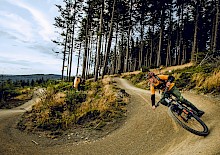 MTB Zone Bikeparks öffnen (mit Schutzauflagen) ihre Pforten! MTB Zone Bikeparks öffnen (mit Schutzauflagen) ihre Pforten!