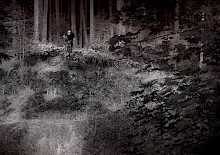 Ace Hayden in SHRED-IT Ace Hayden in SHRED-IT