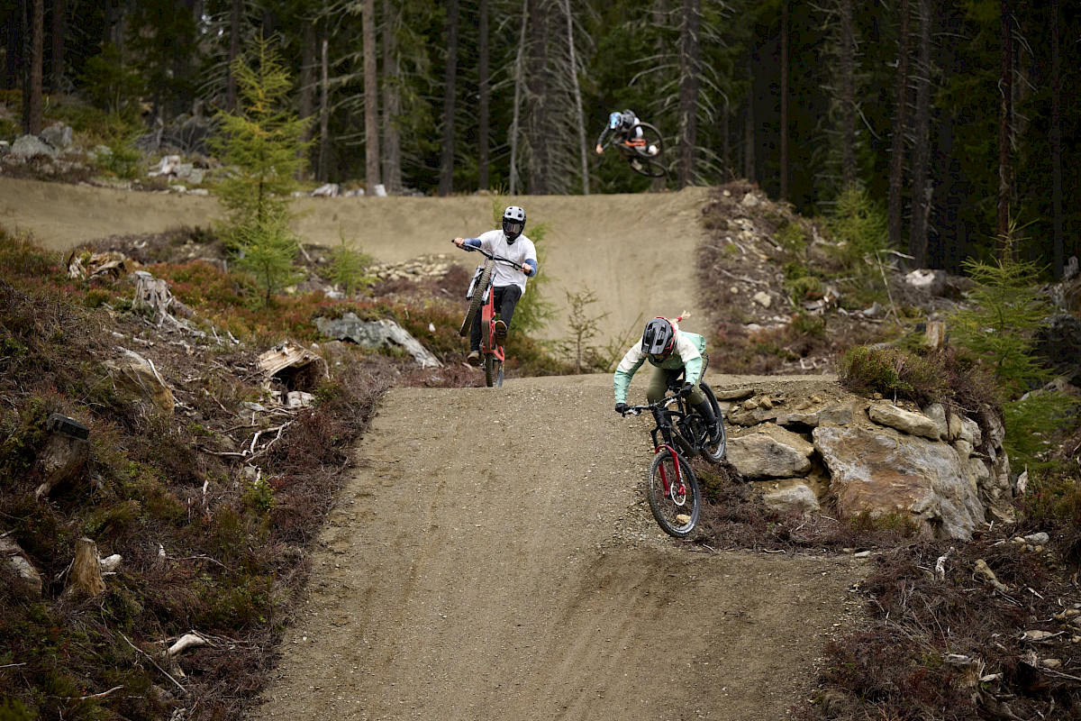 mountainbike pink Viper 24