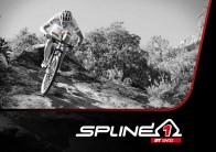 DT Swiss SplineOne