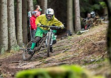 Knollencup Nr.8 Knollencup Nr.8