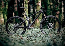 YT Izzo: Fast. Agile. Sharp. YT Izzo: Fast. Agile. Sharp.